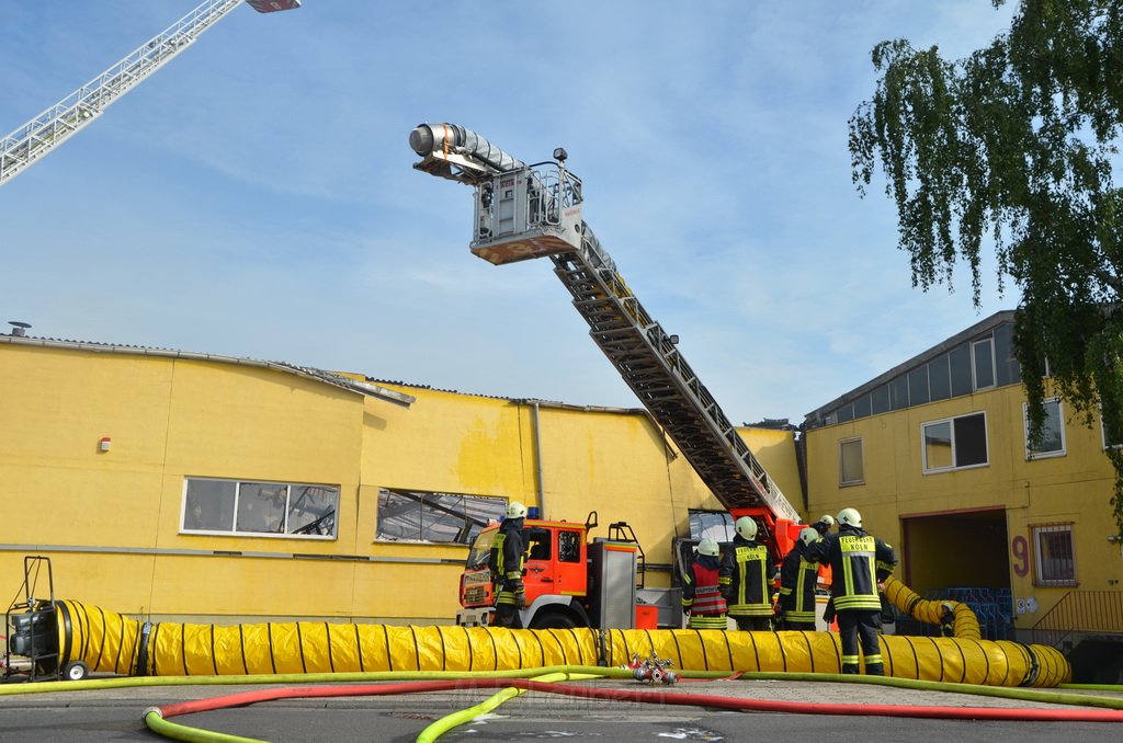 Grossfeuer Poco Lager Koeln Porz Gremberghoven Hansestr P690.JPG - Miklos Laubert